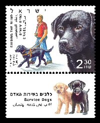 Stamp:Guide Dogs (Service Dogs), designer:Meir Eshel 06/2016